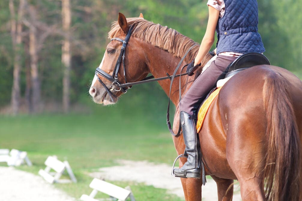 How Much to Tip a Horseback Riding Guide