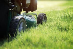 How Much to Tip for Lawn Service